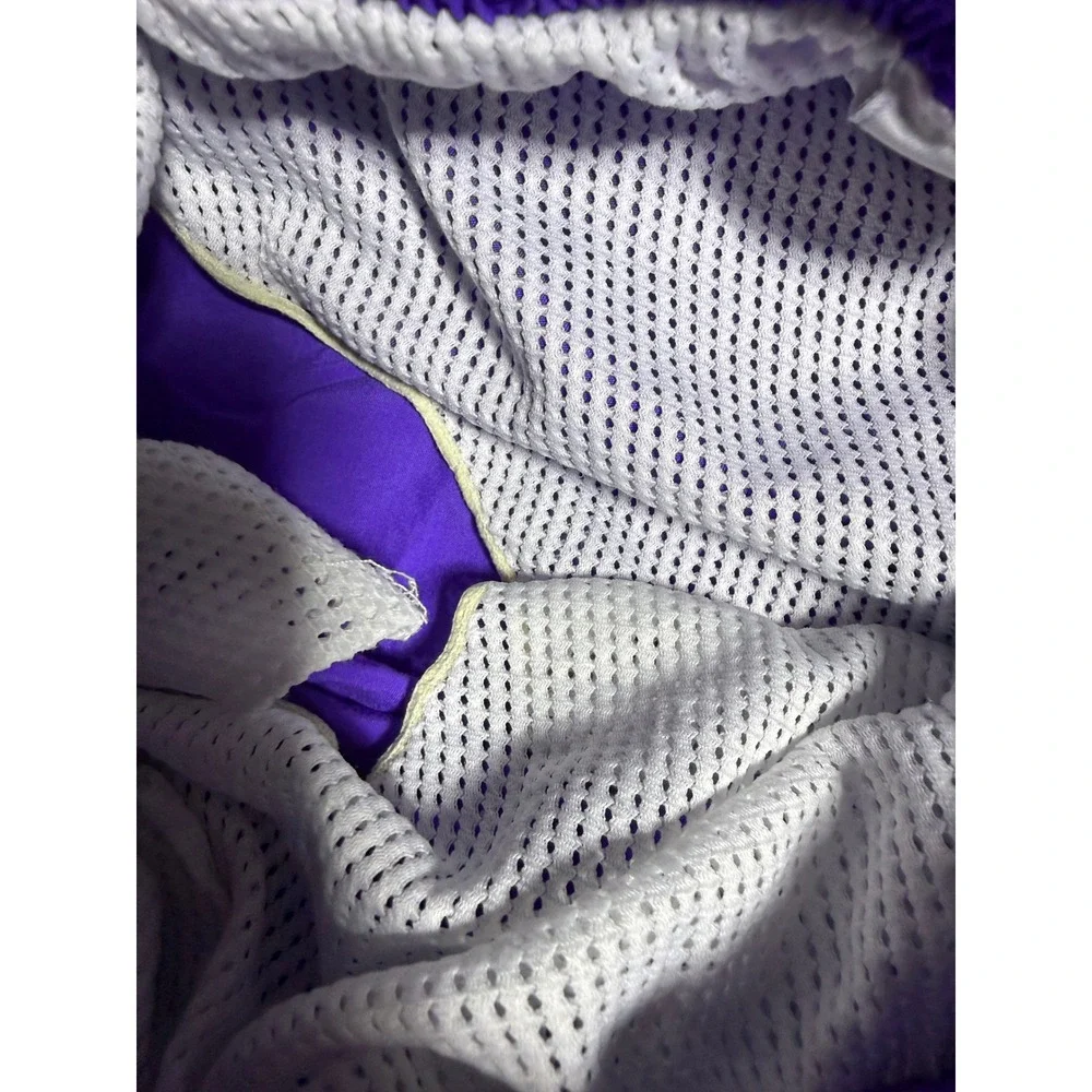 Speedo Swim Shorts Men Large Purple Good Nylon Mesh Liner Elastic Waist Pockets